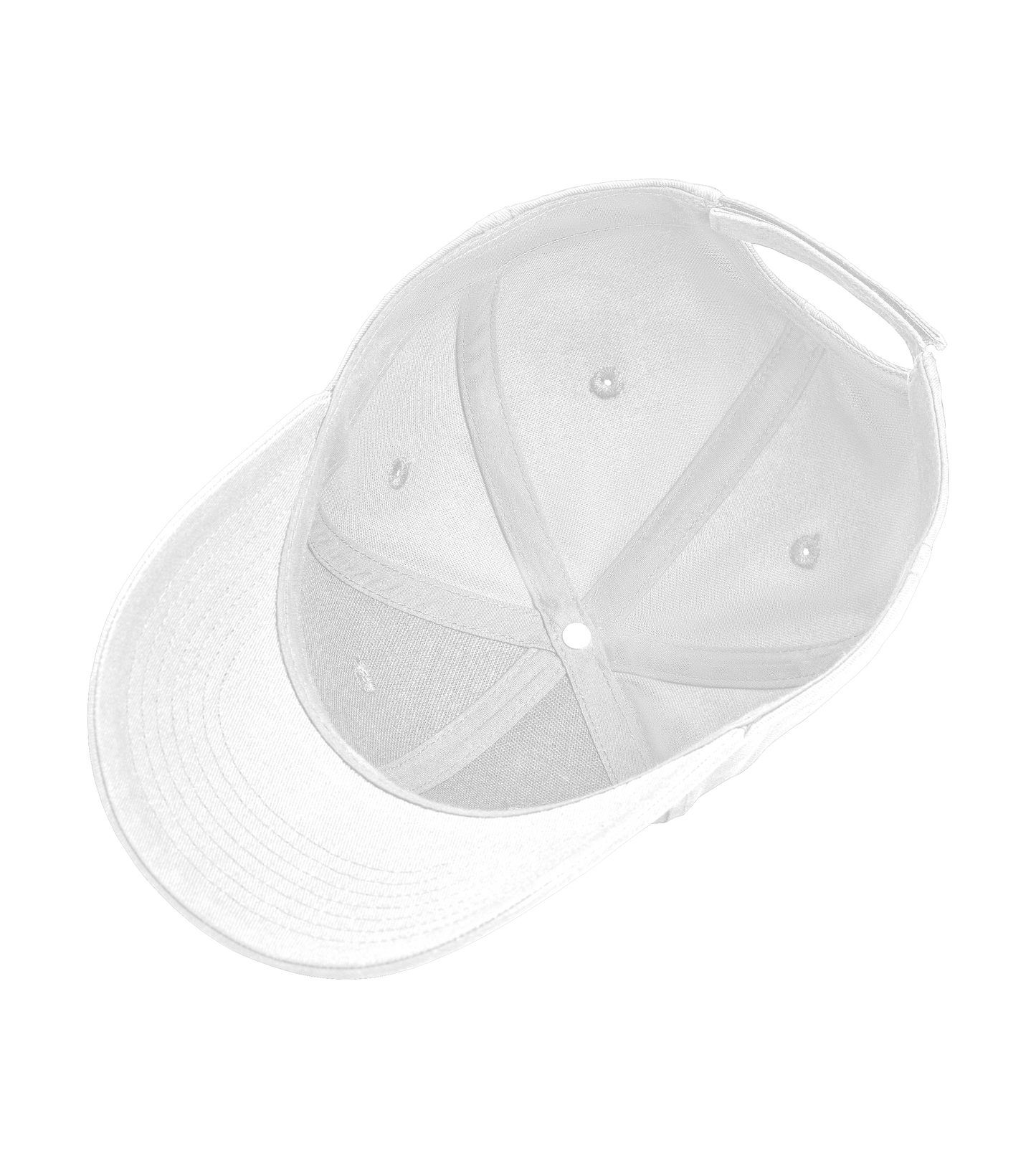 PDL Icon Cap