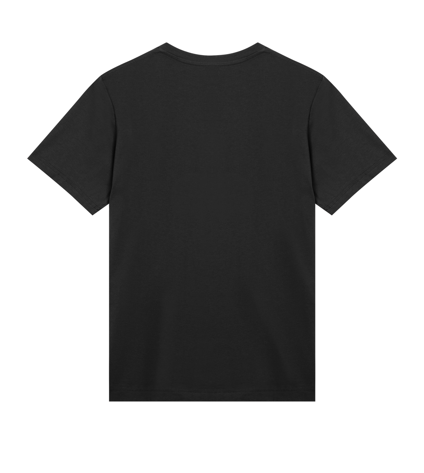 PDL ICON Tee