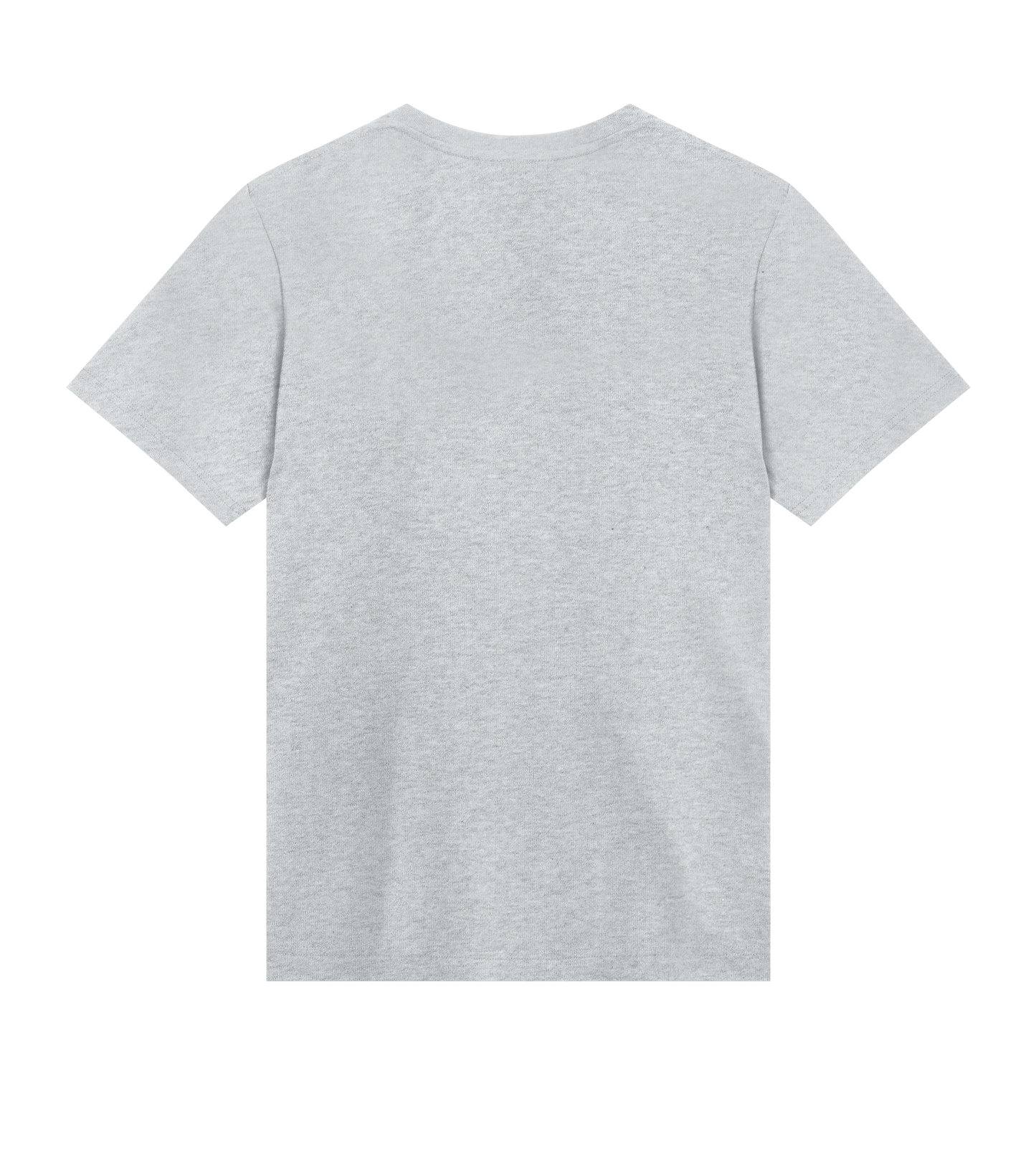 PDL ICON Tee